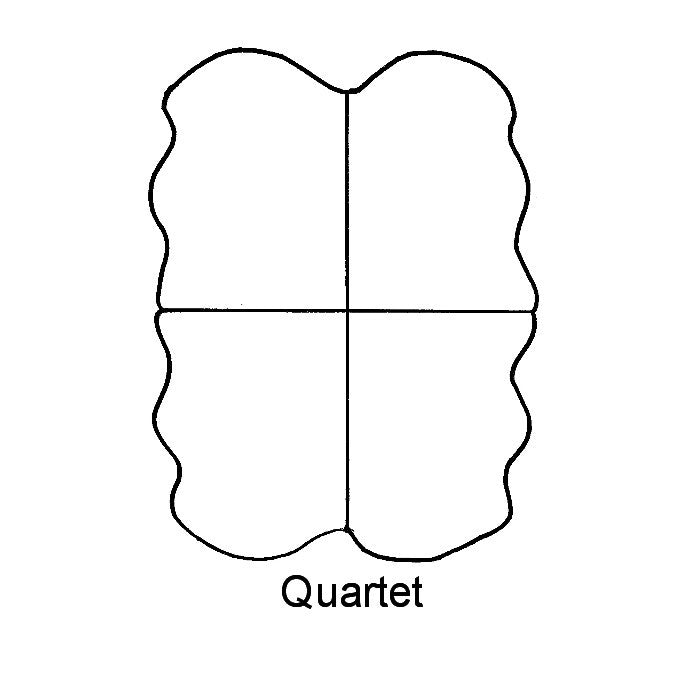 Sheepskin Rug AUS - Quartet